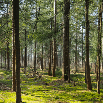 Photo by Wim van 't Einde on Unsplash